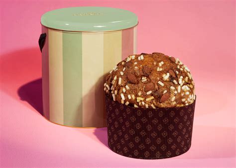 panettone bottura gucci|panettone Gucci osteria.